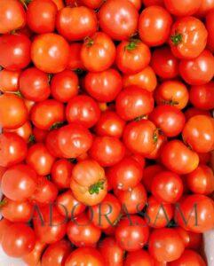 Cà chua với vẻ đẹp của phái nữ