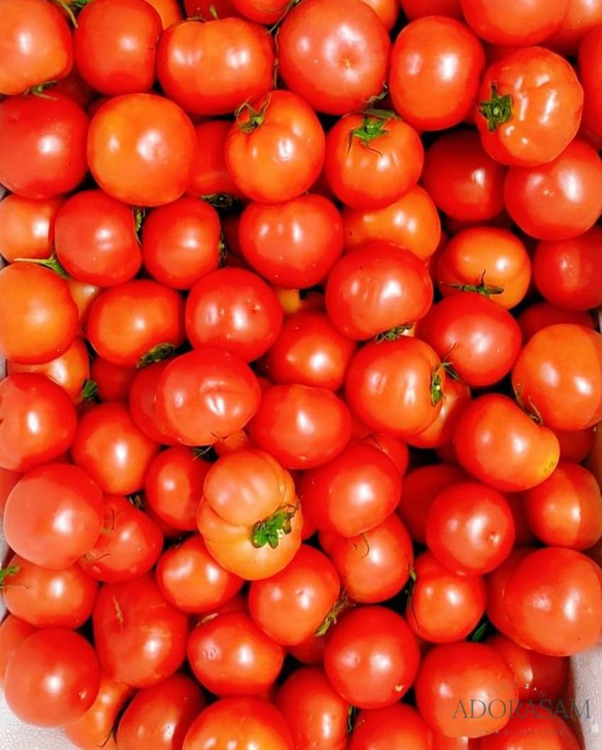 Cà chua với vẻ đẹp của phái nữ